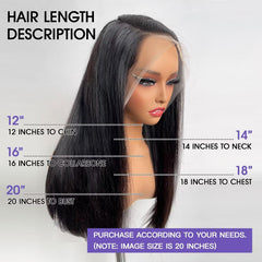 VIPbeauty 13x6 Straight HD Transparent Lace Frontal Human Wig 250% Density 16A Grade Super Double Drawn Human Hair With Pre-Plucked Hairline